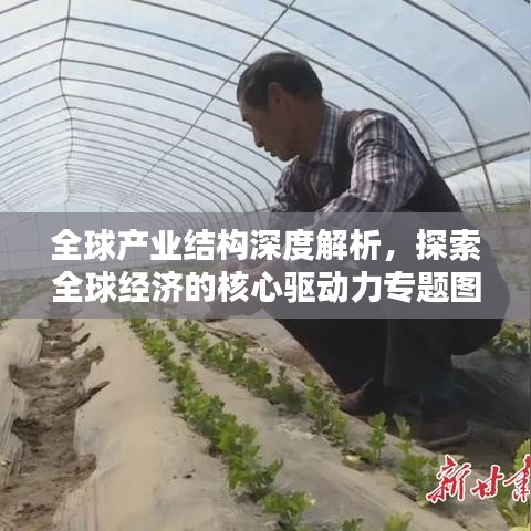 全球產(chǎn)業(yè)結(jié)構(gòu)深度解析，探索全球經(jīng)濟的核心驅(qū)動力專題圖書