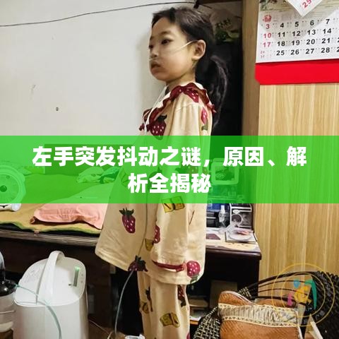左手突發(fā)抖動之謎，原因、解析全揭秘
