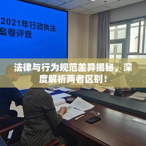 法律與行為規(guī)范差異揭秘，深度解析兩者區(qū)別！