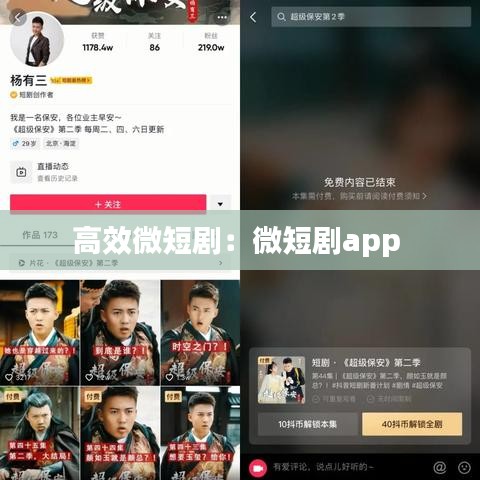 高效微短?。何⒍虅pp 