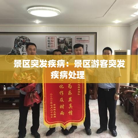景區(qū)突發(fā)疾?。壕皡^(qū)游客突發(fā)疾病處理 