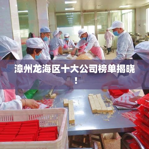 漳州龍海區(qū)十大公司榜單揭曉！