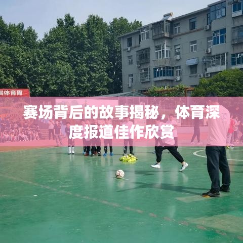 賽場背后的故事揭秘，體育深度報(bào)道佳作欣賞