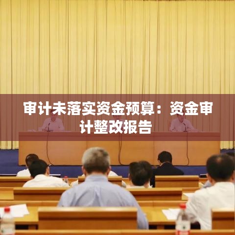 審計未落實(shí)資金預(yù)算：資金審計整改報告 
