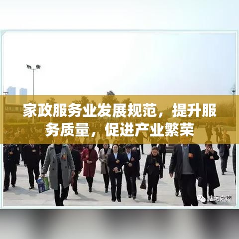 家政服務(wù)業(yè)發(fā)展規(guī)范，提升服務(wù)質(zhì)量，促進(jìn)產(chǎn)業(yè)繁榮