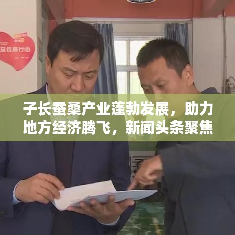 子長蠶桑產(chǎn)業(yè)蓬勃發(fā)展，助力地方經(jīng)濟(jì)騰飛，新聞頭條聚焦蠶桑產(chǎn)業(yè)新動態(tài)