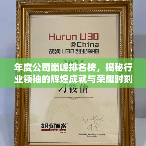 年度公司巔峰排名榜，揭秘行業(yè)領(lǐng)袖的輝煌成就與榮耀時刻