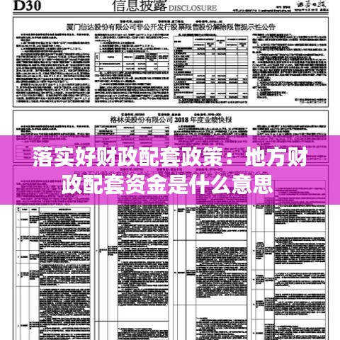 落實(shí)好財(cái)政配套政策：地方財(cái)政配套資金是什么意思 