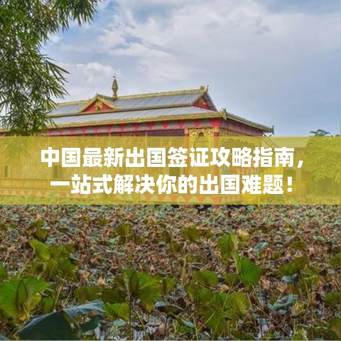 中國最新出國簽證攻略指南，一站式解決你的出國難題！