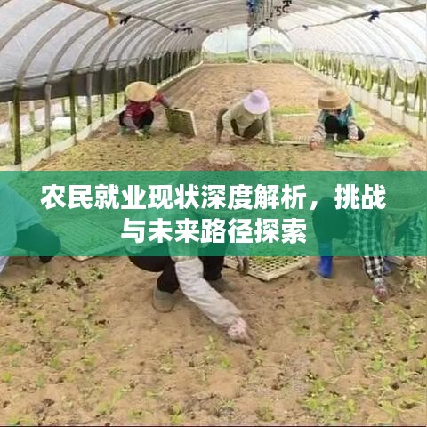 農民就業(yè)現(xiàn)狀深度解析，挑戰(zhàn)與未來路徑探索