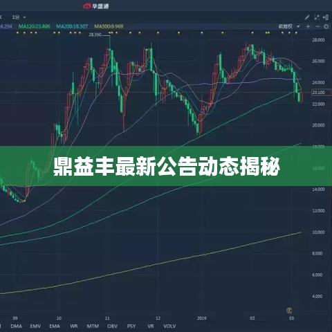 鼎益豐最新公告動(dòng)態(tài)揭秘
