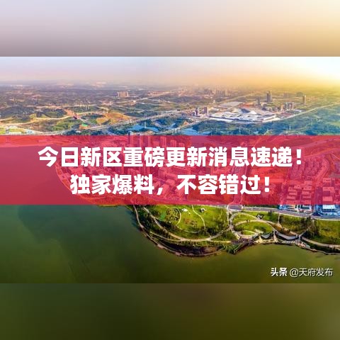 今日新區(qū)重磅更新消息速遞！獨家爆料，不容錯過！