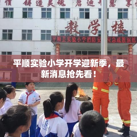 平順實驗小學(xué)開學(xué)迎新季，最新消息搶先看！