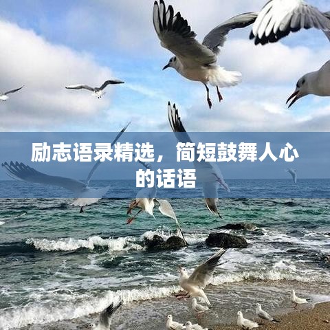 勵志語錄精選，簡短鼓舞人心的話語