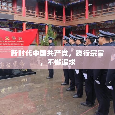 新時(shí)代中國(guó)共產(chǎn)黨，踐行宗旨，不懈追求