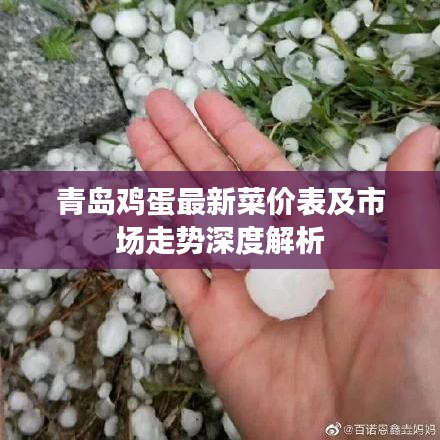 青島雞蛋最新菜價表及市場走勢深度解析