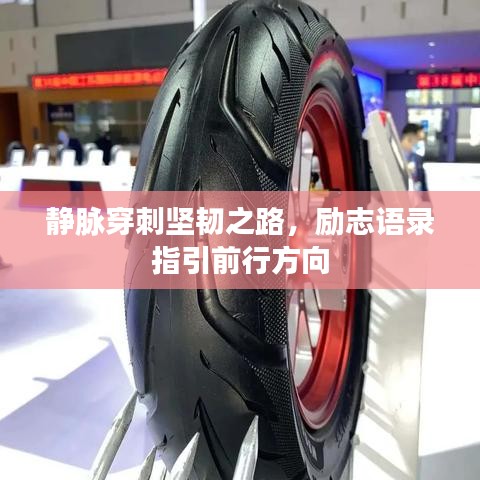 靜脈穿刺堅韌之路，勵志語錄指引前行方向