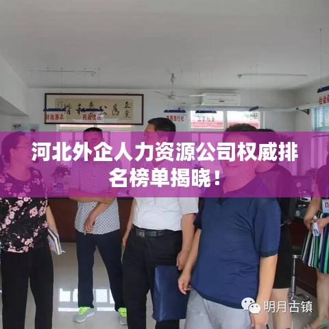 河北外企人力資源公司權(quán)威排名榜單揭曉！