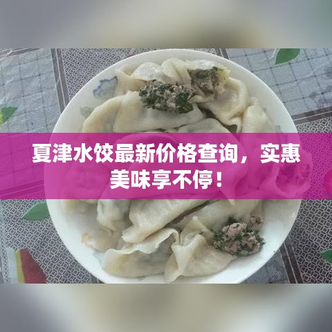 夏津水餃最新價格查詢，實惠美味享不停！