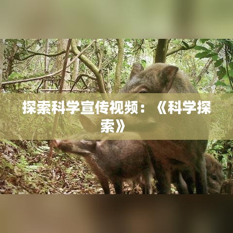質(zhì)而不俚 第3頁(yè)