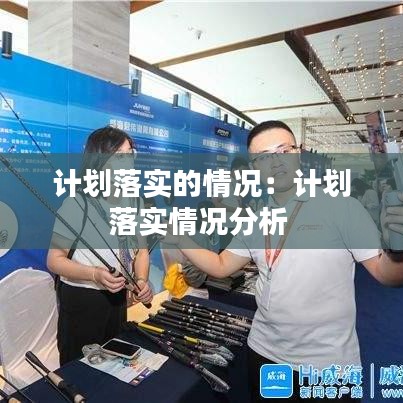 計劃落實的情況：計劃落實情況分析 