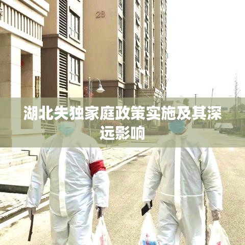 湖北失獨家庭政策實施及其深遠(yuǎn)影響