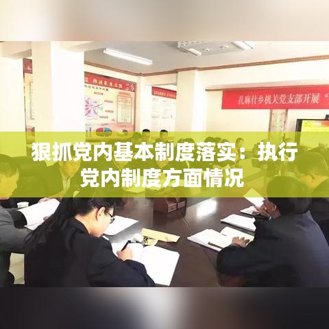 狠抓黨內(nèi)基本制度落實(shí)：執(zhí)行黨內(nèi)制度方面情況 