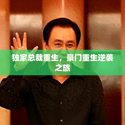 獨(dú)家總裁重生，豪門重生逆襲之旅
