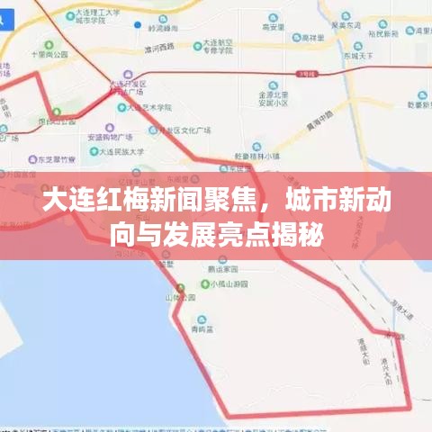 大連紅梅新聞聚焦，城市新動向與發(fā)展亮點揭秘