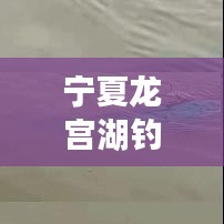 寧夏龍宮湖釣魚秘籍，最新攻略全解析！