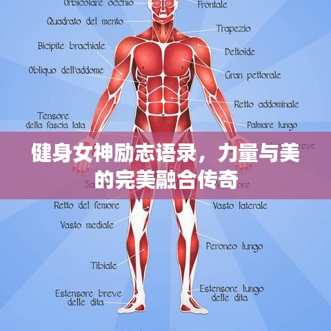 健身女神勵志語錄，力量與美的完美融合傳奇