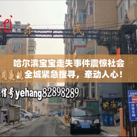 哈爾濱寶寶走失事件震驚社會(huì)，全城緊急搜尋，牽動(dòng)人心！