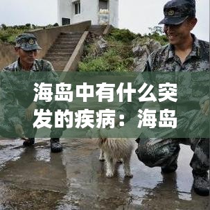 海島中有什么突發(fā)的疾?。汉u現(xiàn)狀 