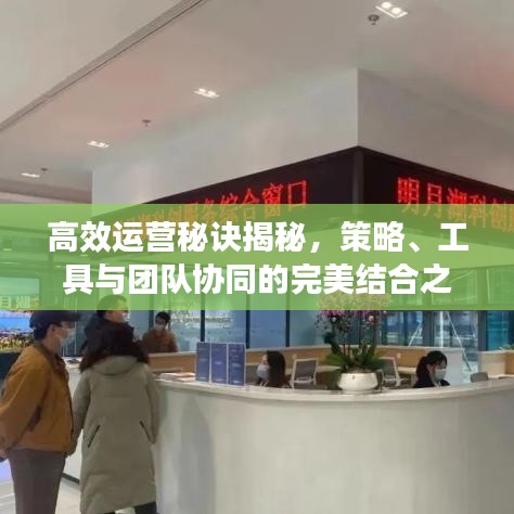 高效運(yùn)營(yíng)秘訣揭秘，策略、工具與團(tuán)隊(duì)協(xié)同的完美結(jié)合之道