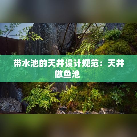 帶水池的天井設(shè)計(jì)規(guī)范：天井做魚池 