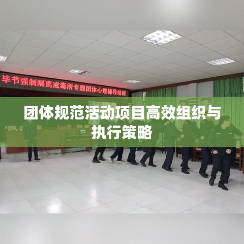 團(tuán)體規(guī)范活動項(xiàng)目高效組織與執(zhí)行策略