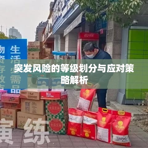 突發(fā)風(fēng)險(xiǎn)的等級(jí)劃分與應(yīng)對(duì)策略解析