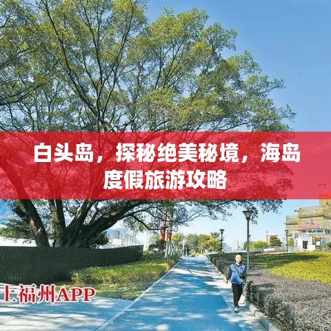白頭島，探秘絕美秘境，海島度假旅游攻略
