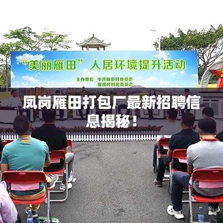 鳳崗雁田打包廠最新招聘信息揭秘！