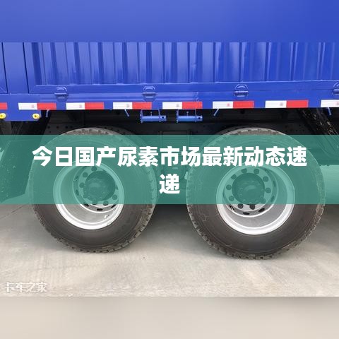 今日國產(chǎn)尿素市場最新動態(tài)速遞