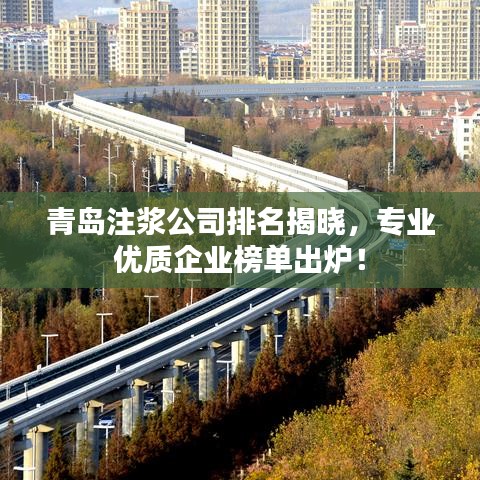 青島注漿公司排名揭曉，專業(yè)優(yōu)質(zhì)企業(yè)榜單出爐！