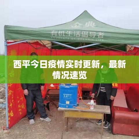 西平今日疫情實時更新，最新情況速覽