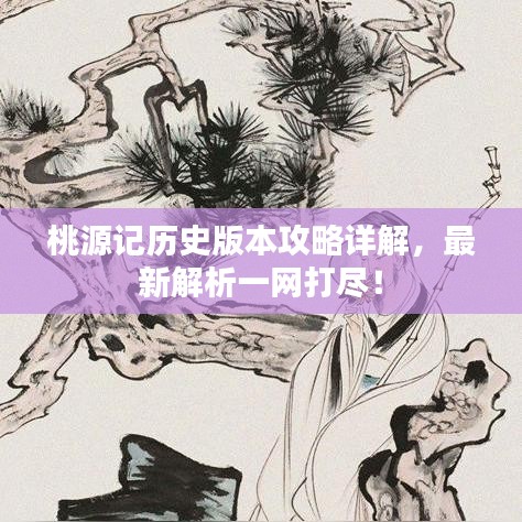 桃源記歷史版本攻略詳解，最新解析一網(wǎng)打盡！