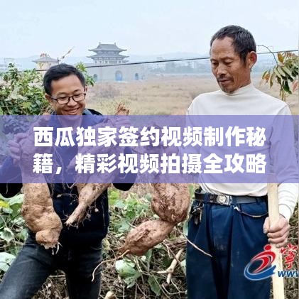西瓜獨(dú)家簽約視頻制作秘籍，精彩視頻拍攝全攻略