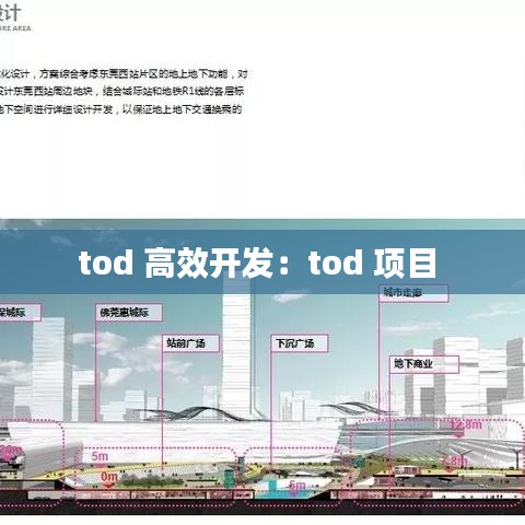 tod 高效開發(fā)：tod 項(xiàng)目 