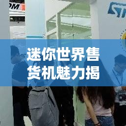 迷你世界售貨機魅力揭秘，排名與探索微型售貨機的無限魅力
