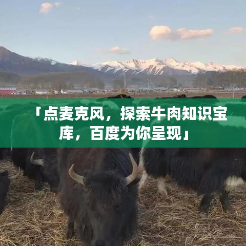 「點(diǎn)麥克風(fēng)，探索牛肉知識寶庫，百度為你呈現(xiàn)」