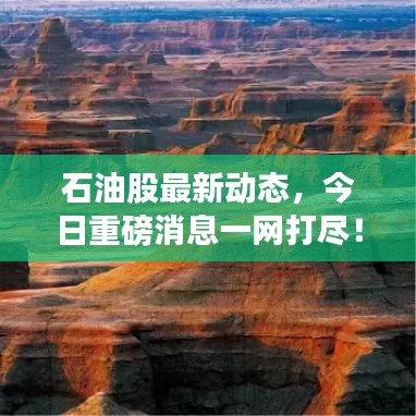 石油股最新動態(tài)，今日重磅消息一網(wǎng)打盡！