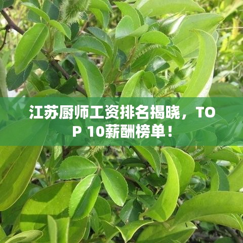 江蘇廚師工資排名揭曉，TOP 10薪酬榜單！