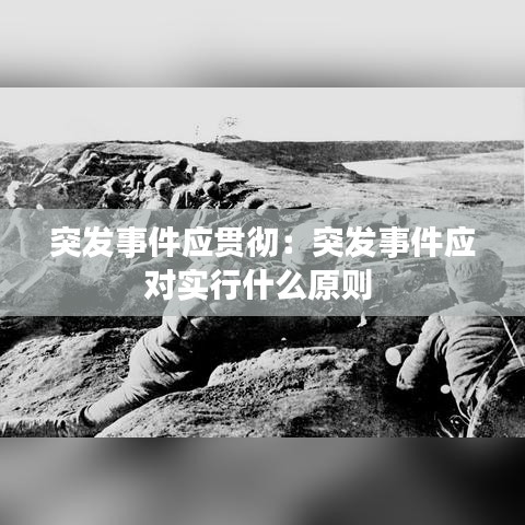 突發(fā)事件應(yīng)貫徹：突發(fā)事件應(yīng)對實行什么原則 